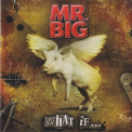 Mr. Big - What If... (European release) '2011
