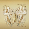 Xavier Rudd - White Moth '2007